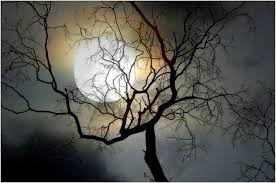 l'arbre et la lune de moniqueetdany