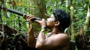 indien d'Amazonie